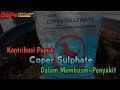 Kontribusi Pupuk Coper Sulphate Dalam Membasmi Penyakit