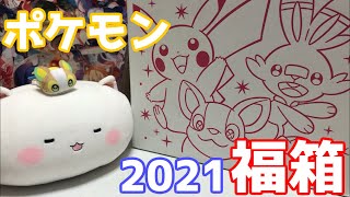 【ポケモン】2021年版!!ピカピカボックスが当たった!!総額はいくら？【福袋】