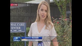 Hannah Rucker, Recent Stories