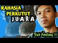 RAHSIA PENGERUSI PERKUTUT !!! PETRUK || PETUA PENTING