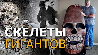 Скелеты гигантов | Протоистория с Николаем Субботиным