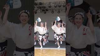 阿波踊り 阿波おどりが好きなことがめっちゃわかる！ #shorts  #awadance #아와오도리