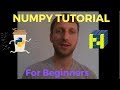 NumPy Tutorial - Everything You Need to Know to Get Started