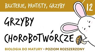 Bakterie protisty i grzyby 12 🦠Choroby wywoływane przez grzyby - biologia do matury