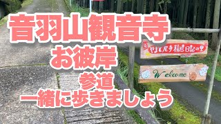 音羽山観音寺お彼岸　参道ほぼノーカット