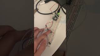 Creative Coding Week 2