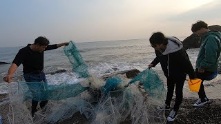 大浪卷上来一堆烂地笼，阿阳跟粉丝一起捡漏，没想到竟有大龙虾