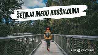 Treetop Walk (Pohorje, Rogla) - walk among the trees and the best slide in Slovenia (subtitles)