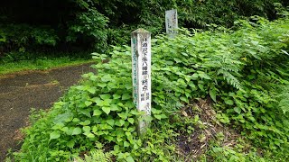 越路の林道④（長岡）