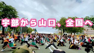 【特別演舞】新川市まつりよさこいフェスタ2024　　YOSAFUL【刮目せよ】