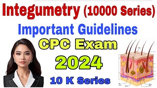 Integumetry Chapter (10 K Series) Guidelines | Medical Coding | CPT Coding Guidelines | Skin Anatomy