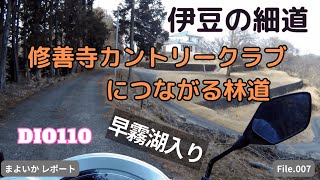 【伊豆の細道】修善寺カントリークラブの林道【原付２種】