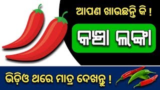 ଖାଉଛନ୍ତି କି ( କଞ୍ଚା ଲଙ୍କା ) ଭିଡ଼ିଓ ଥରେ ମାତ୍ର ଦେଖନ୍ତୁ | Odia health tips | Benefits of chilies odisha