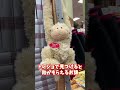 【アメリカ生活】trader joe sで見つけると飴が貰えるお猿【トレジョ】