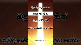 ශුද්ධ වු බයිබලයෙන් ඔබේ ජීවිතයට ❤️❤️❤️ දිළිදුන්ට සළකන්න #loveofgod#motivation #love #holybible#shorts