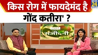 सेहत की संजीवनी है 'गोंद कतीरा', Dr. Pratap Chauhan से जानिए किस रोग में होता फायदेमंद ?