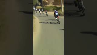 Here's the moment a stray dog surprised the peloton by running into the road at the AlUla Tour 😮