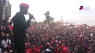 Bobi Wine Back on stage performs his classic hits, crowd goes wild