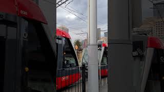 호주 시드니 센트럴역에 진입하는 트램열차! Sydney light rail, The tram is arriving at Central station