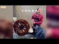 神犬步枪：全网最懂事狗狗，帮主人干农活拿快递，网友：太羡慕！