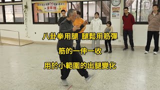 【20250118(03)】In Baguazhang, leg techniques rely on relaxed muscles and tendon elasticity.