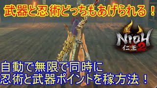 どっちもスキルポイントを同時に上げられる！仁王２で忍術スキルと武器スキルと侍スキルを自動で無限に上げる方法！【仁王２】