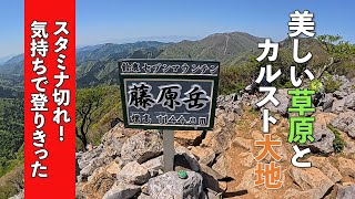 スタミナ切れ！気持ちで登り切った！|美しい草原とカルスト大地 #23|藤原岳