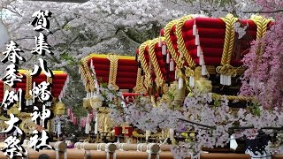 平成29年 賀集八幡神社春祭り本宮  宮入       桜満開！！