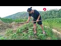 【山鍋兄弟】山锅兄弟跟老爸下地种菜，父子俩一个挑粪一个除草，搭配真好！