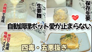 【自動調理ポット愛が止まらない】四毒、五悪抜き！生姜麴・味噌ペイストを作る｜保存生姜｜麹調味料｜腸活・ 発酵調味料｜万能麴調味料｜万能発酵調味料｜ソイリッチ｜レコルト｜家電調理器  | 鯖の味噌煮