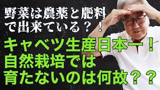 野菜は農薬と肥料で出来ている？！キャベツ生産日本一なのに自然栽培だと育たない…なぜ？【個人的見解】【無農薬】【無肥料】【自然農法】【自然農】【オーガニック】【有機JAS】【自然食品】