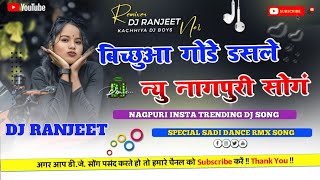 Bichhua Theth Nagpuri Dj Song 2025 🌿 Singer Sarita Devi \u0026 Anita Bara 🌿 Dj Ranjeet kachhiya 🌿 Theth N