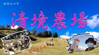 20211106：清境農場｜綿羊秀｜馬術秀