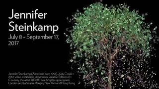 Exhibition: Jennifer Steinkamp - July 8 to September 17, 2017