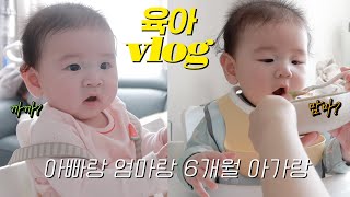 vlog • 6개월아기 이유식 • 이유식이좋아? 떡뻥이 좋아? • 엎드려서노는게 취미인편? • 이제 엄마엄마...계속..계속..