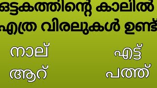 ജനിച്ച ഉടനെ കുഞ്ഞിനെ വെയിൽ കൊള്ളിക്കുന്ന പക്ഷി general knowledge jana world