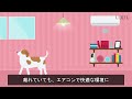 【lixil】life assist2アニメーション動画～外出中のペットの様子が心配 編～