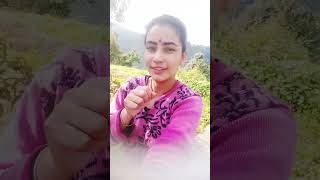 Tambakhu amal | Inder Arya | Khushi Joshi Digari | Uttarakhand jhoda 2023 #shots #uttarakhand