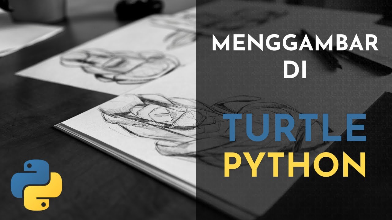Turtle Python Tutorial Youtube Turtle Python Tutorial Youtube
