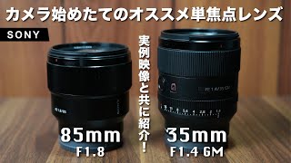 【カメラ始めたてのオススメ単焦点レンズ】SONY 35mm F1.4 GMと85mm F1.8｜焦点距離が違う2本の魅力とは！？【初心者】