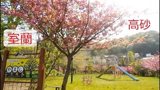 【北海道　室蘭】高砂 ＆ 桜　　～高砂町を走り、お店や学校・公園などを巡っていきます！　更に桜情報（最終編）と、最後には豪華客船も紹介します！～