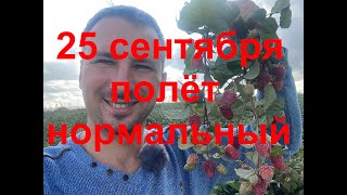 Малиновая гряда 25 сентября.