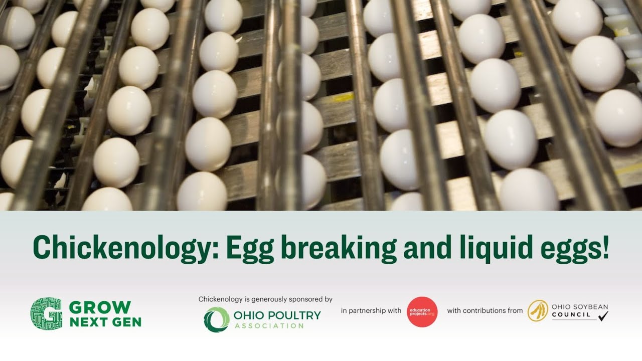 Virtual Field Trip Sustainable Egg Production Grownextgen