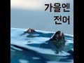 가을엔 전어