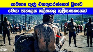 සාමාන්‍ය කුණු එකතුකරන්නෙක් වුනාට මෙයා පාතාලය සලිතකල කුළීඝාතකයෙක් | Sinhala Film Review