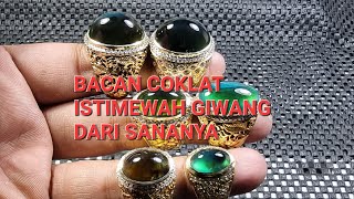 BACAN COKLAT GIWANG DARI BAHAN