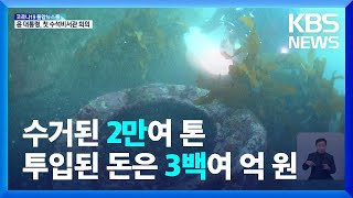 연간 2만 톤…해양쓰레기 뒤덮인 제주바다 민간이 나선다 / KBS  2022.05.11.