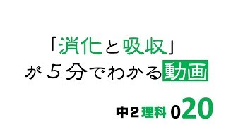 中2理科　消化と吸収