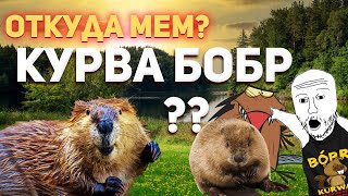 Бобр Курва - Откуда Мем? История Мема - Курва Бобр