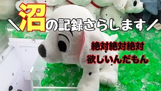 【沼回】カモン！待つと来ない救済措置＼(   💢 ^ω^ )／